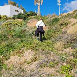 Moni auf dem Weg eine Pflanze zu ...