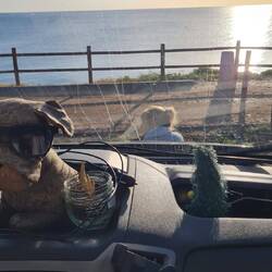 Ok, die Windschutzscheibe ist schmutzig. Aber nicht nur die!