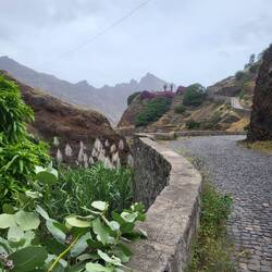 Zuerst geht es entlang von vielen Vorgärten.