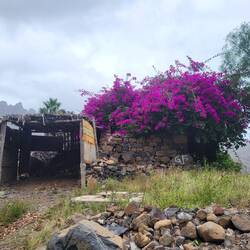 Die Garage? ist leer.