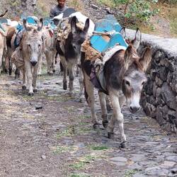 Gegenverkehr ist immer schön!