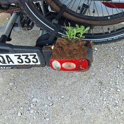 Kleiner Rempler beim rückwärts setzen. Glück gehabt 🥴