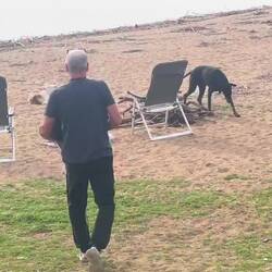 ..da ist jemand ganz in seinem Element 🥰🤣🤣🤣