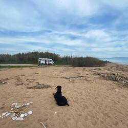 Brennholz liegt noch genug da 🙈