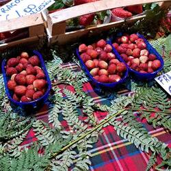 Solo a me viene in mente Asterix?