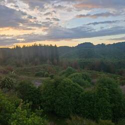 Ussicht vo dr Timber Lodge