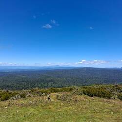 Ussicht Mount Pureora