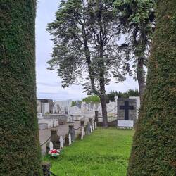 Gräberfeld der "Deutschen Kranken Kasse"