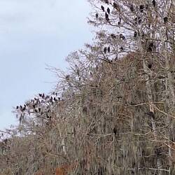 Zu diesem Zeitpunkt regnet es noch