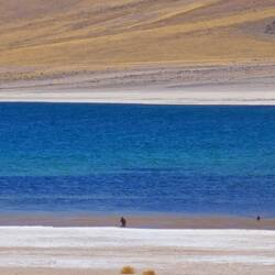 An der Lagune Miscanti