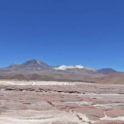 An der Lagune Piedras Rojas