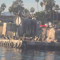 Rückfahrt zum Schiff