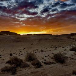 Orange evening mood!