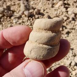 Fossil everywhere around!