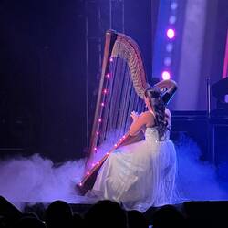 Cat playing her Harp.