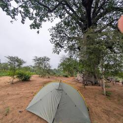 Ich schlafe unterm Baobab