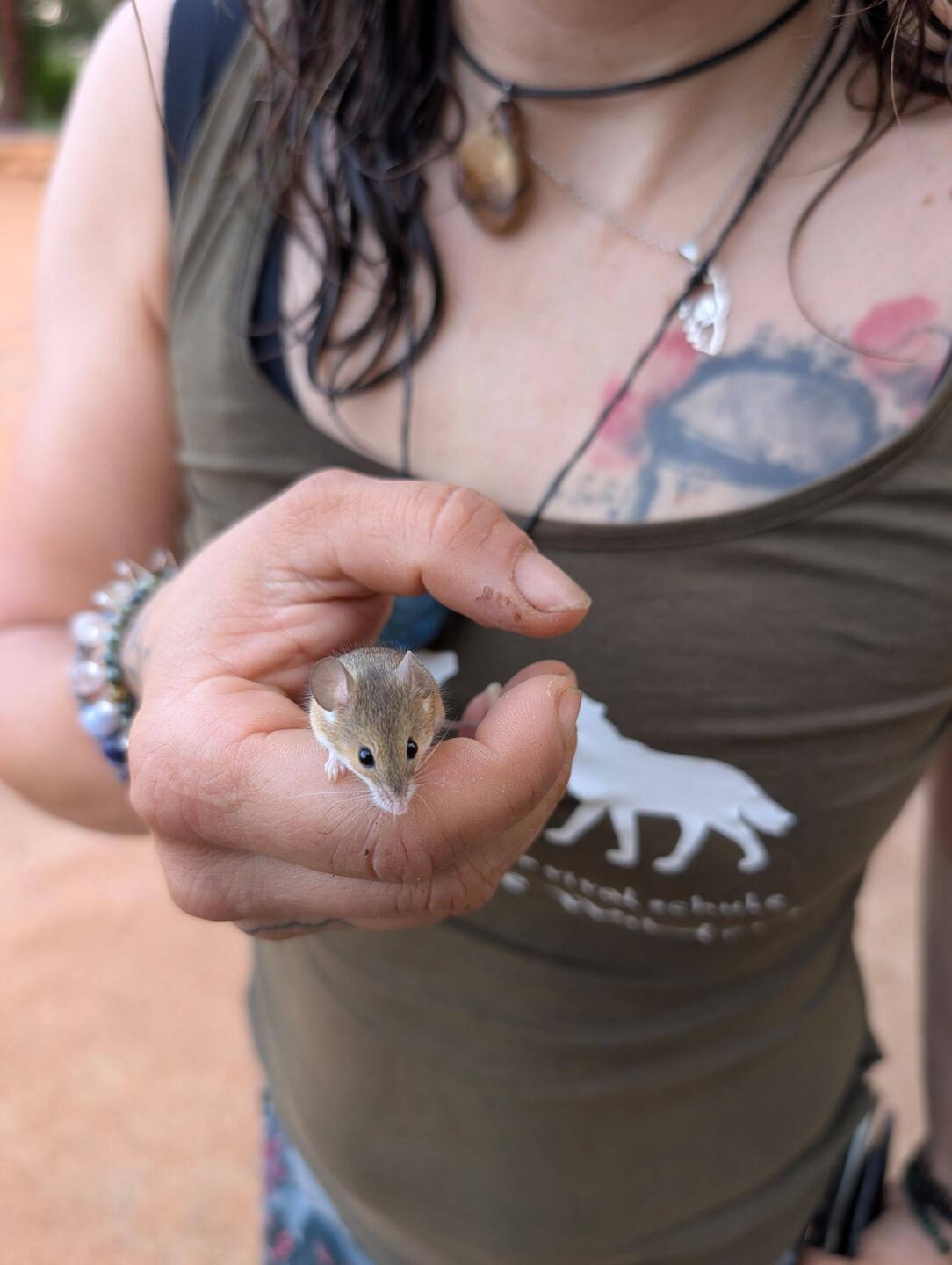 Ein Besucher beim Abbauen