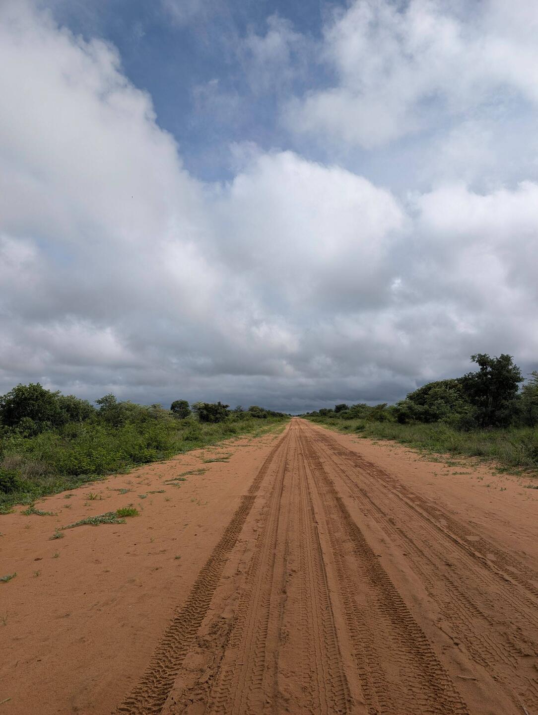 Strasse zum Spurenlesen