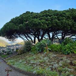 ... der Mirador mit Rundumblick ...