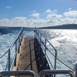 No chance I'm walking out there for a pic.