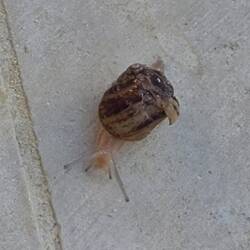 My friend I met as I began walk.