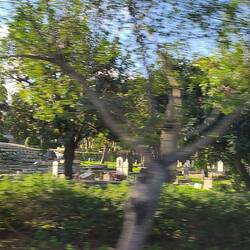 Heading to ferry we passed a cemetery. I always like seeing a different country's cemetery.