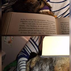 Buch Stütze oder Buchhalter?!