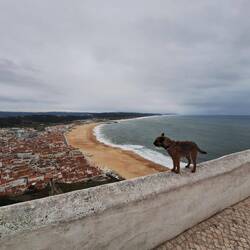 Check: links vom Leuchtturm wirklich keine Wellen