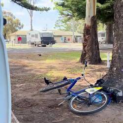 Die singe schöner als bei üs Kräie🙃