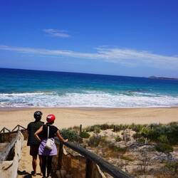 Delfin spotten SUVA konform