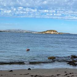 Schnorcheln aber professionell...