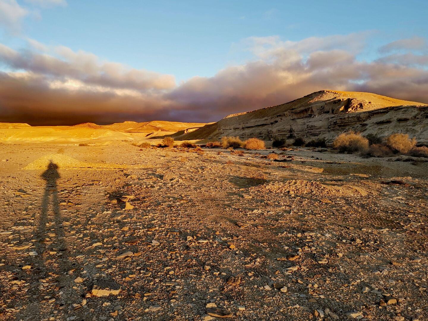 Good morning Day 2 🌞🌞🌞