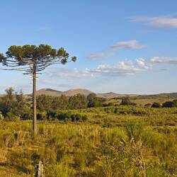 Abendstimmung im Gaucho-Land
