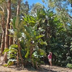 ...sieht dann so aus...