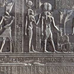 In the crocodile museum