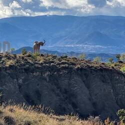 Hier wollten wir eigentlich übernachten...