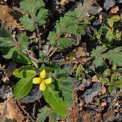 ... oder neugierig ...