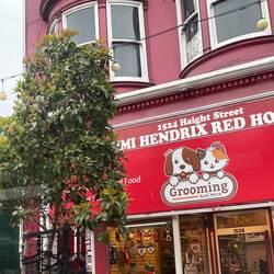 Haus in dem Jimmy Hendrix gelebt hat