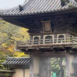 Teepavillion im Golden Gate Park