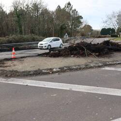 Überreste der Bauern Demo