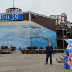 Pier 39