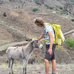 Ein letzter Esel wird gestreichelt.