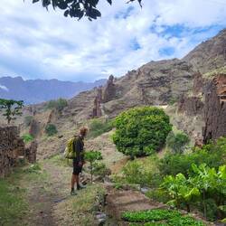 Wir staunen, was in dem unwirtlichen Gelände alles angebaut wird.