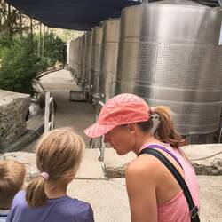 Hier reift der Wein...