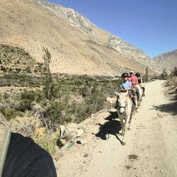 Am nächsten Tag ging es dann zu Pferd in die karge Landschaft