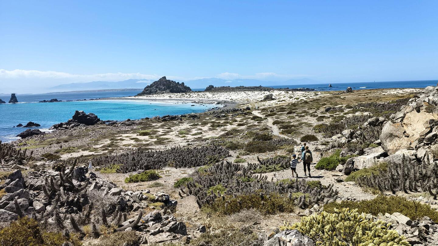 Die wunderschöne und zurecht streng geschützte Isla Damas