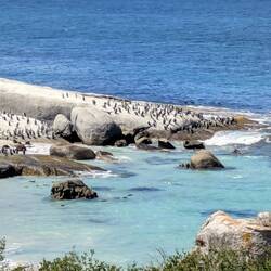 Boulder Bay mit seiner 🐧 Kolonie