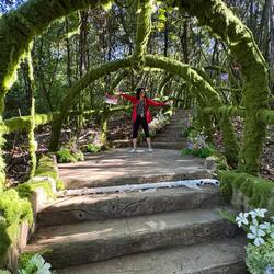 Kunstblumen und künstliches Moos 🫩