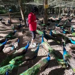 Die Männer sind halt verfressen 😜