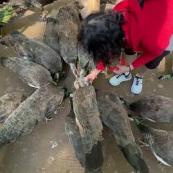 Jetzt sind die Mädels dran 😆